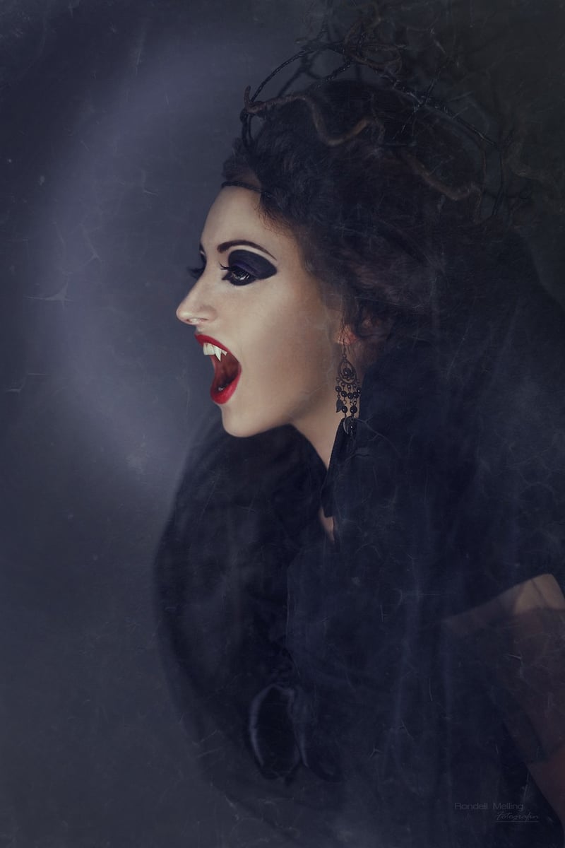 Fairytale Veils